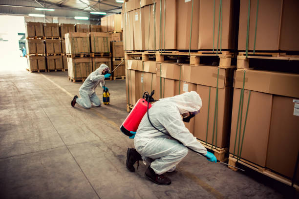 Best Emergency Pest Control  in Roaring Spring, PA